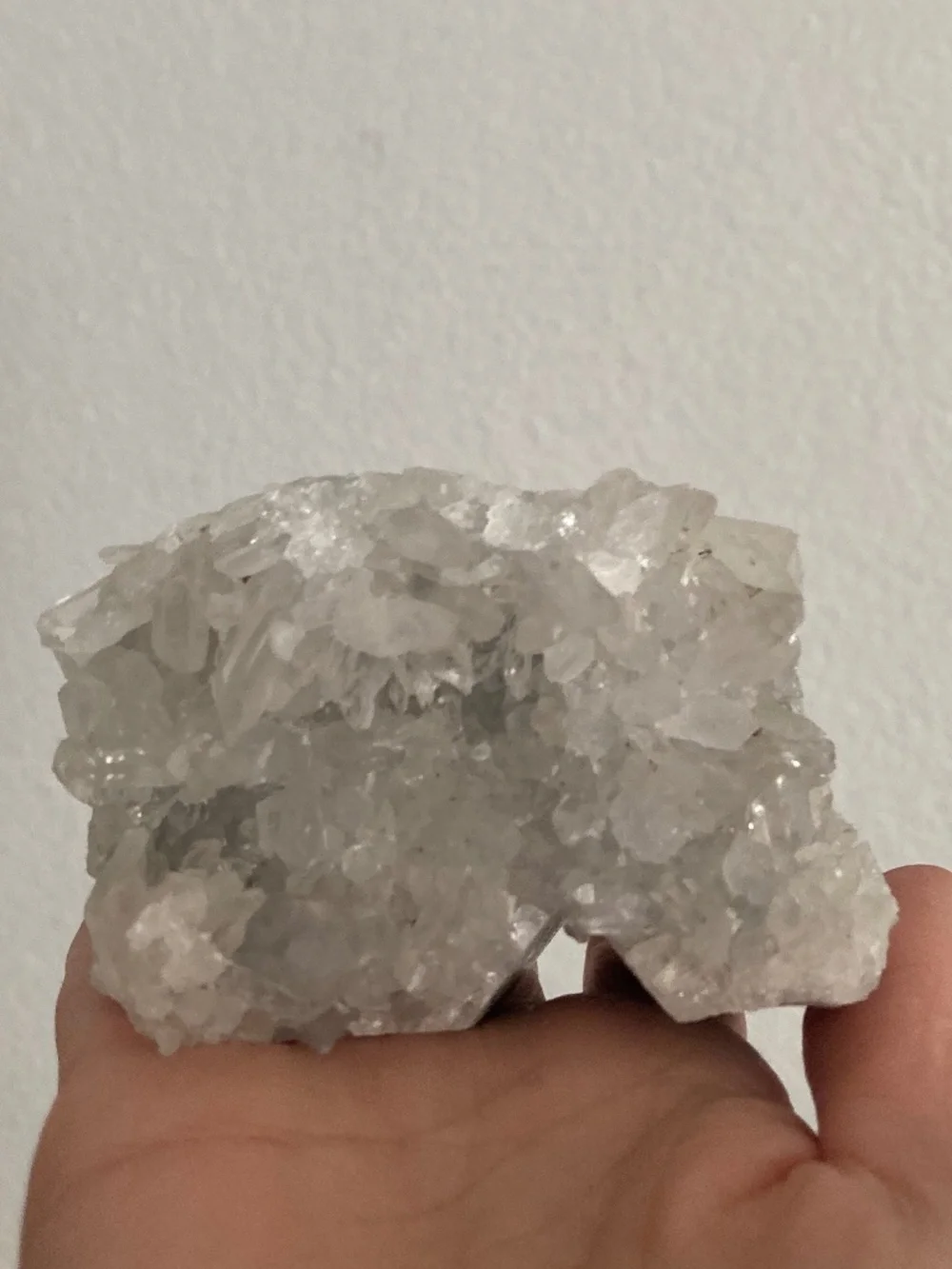 Child of Wild Resurrection Skull Geodes Skull Quartz decor quartz geode